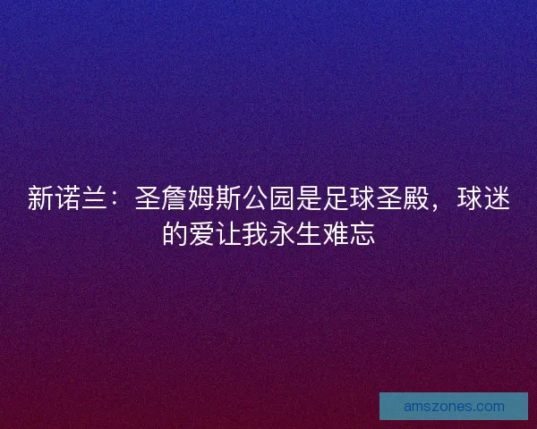 新诺兰：圣詹姆斯公园是足球圣殿，球迷的爱让我永生难忘